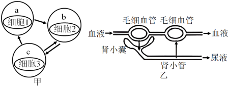德优题库