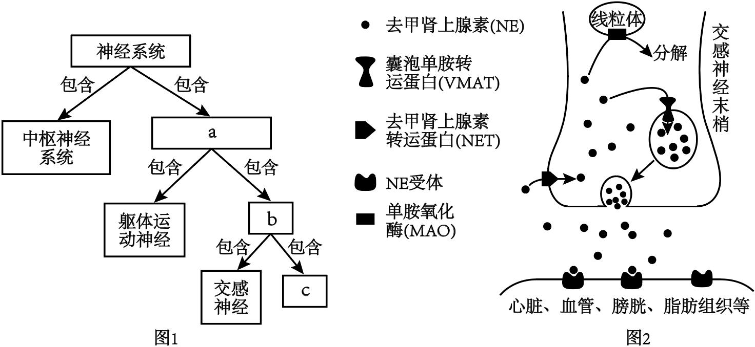 德优题库