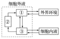 德优题库