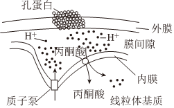 德优题库