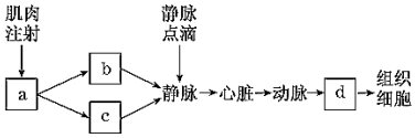 德优题库