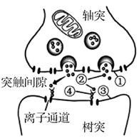 德优题库