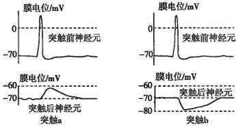 德优题库