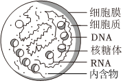 德优题库