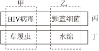 德优题库