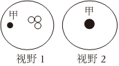 德优题库