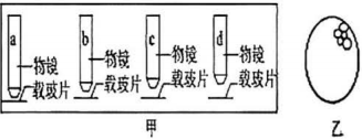 德优题库