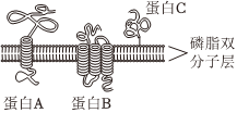 德优题库