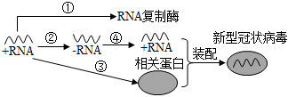 德优题库