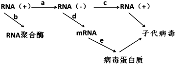德优题库