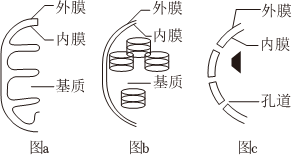德优题库