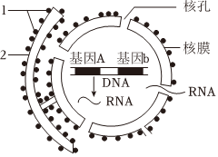 德优题库