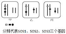 德优题库