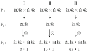 德优题库