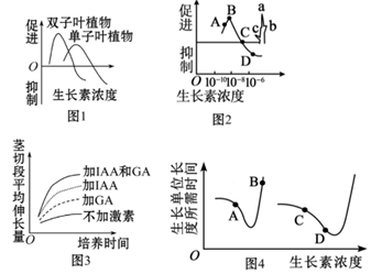德优题库