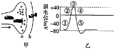 德优题库