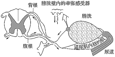 德优题库