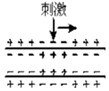 德优题库