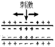 德优题库
