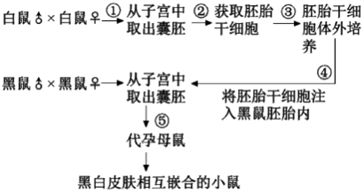 德优题库