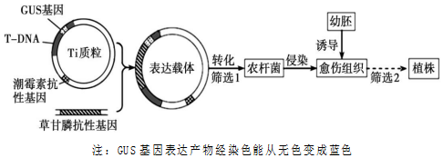 德优题库