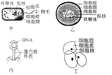 德优题库