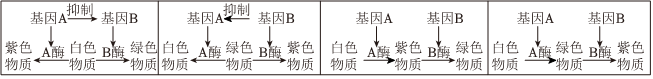 德优题库