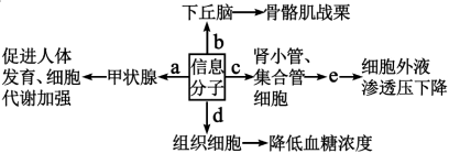 德优题库