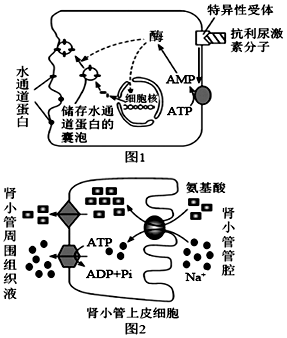 德优题库