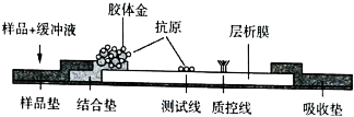 德优题库