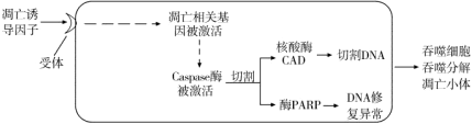德优题库