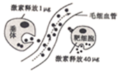 德优题库