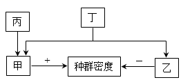 德优题库