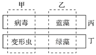 德优题库