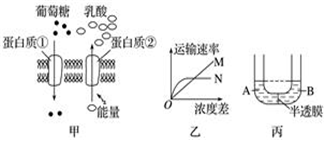 德优题库