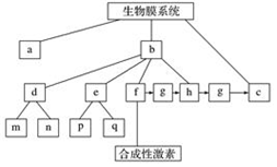 德优题库