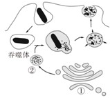 德优题库