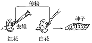 德优题库