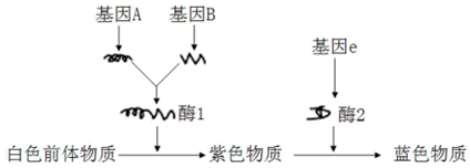 德优题库