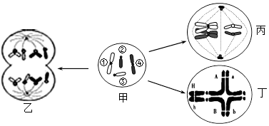 德优题库