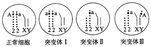 德优题库