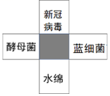 德优题库