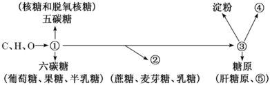 德优题库