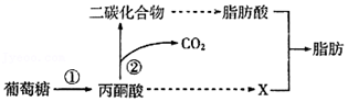 德优题库