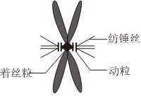 德优题库