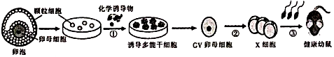 德优题库