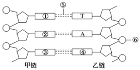德优题库