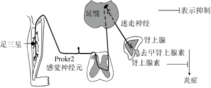 德优题库