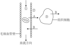 德优题库