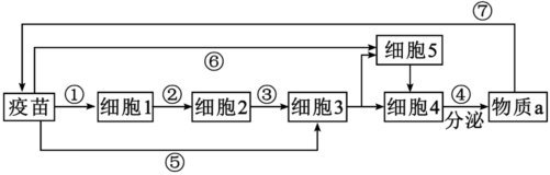 德优题库
